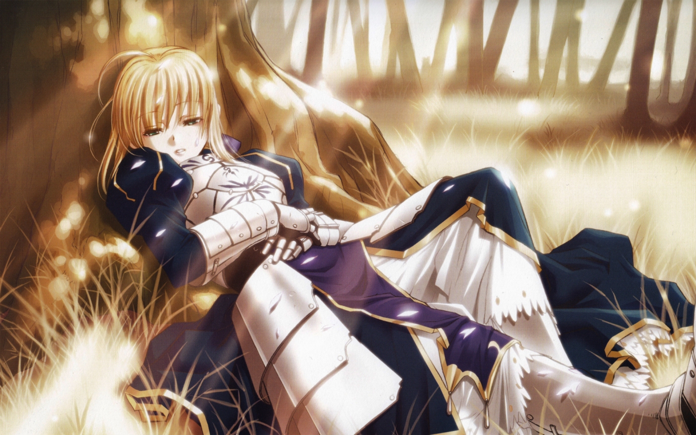 Fate Stay Night Speculation What Will Ufotable Adapt Next Anime Reviews And Lots Of Other Stuff